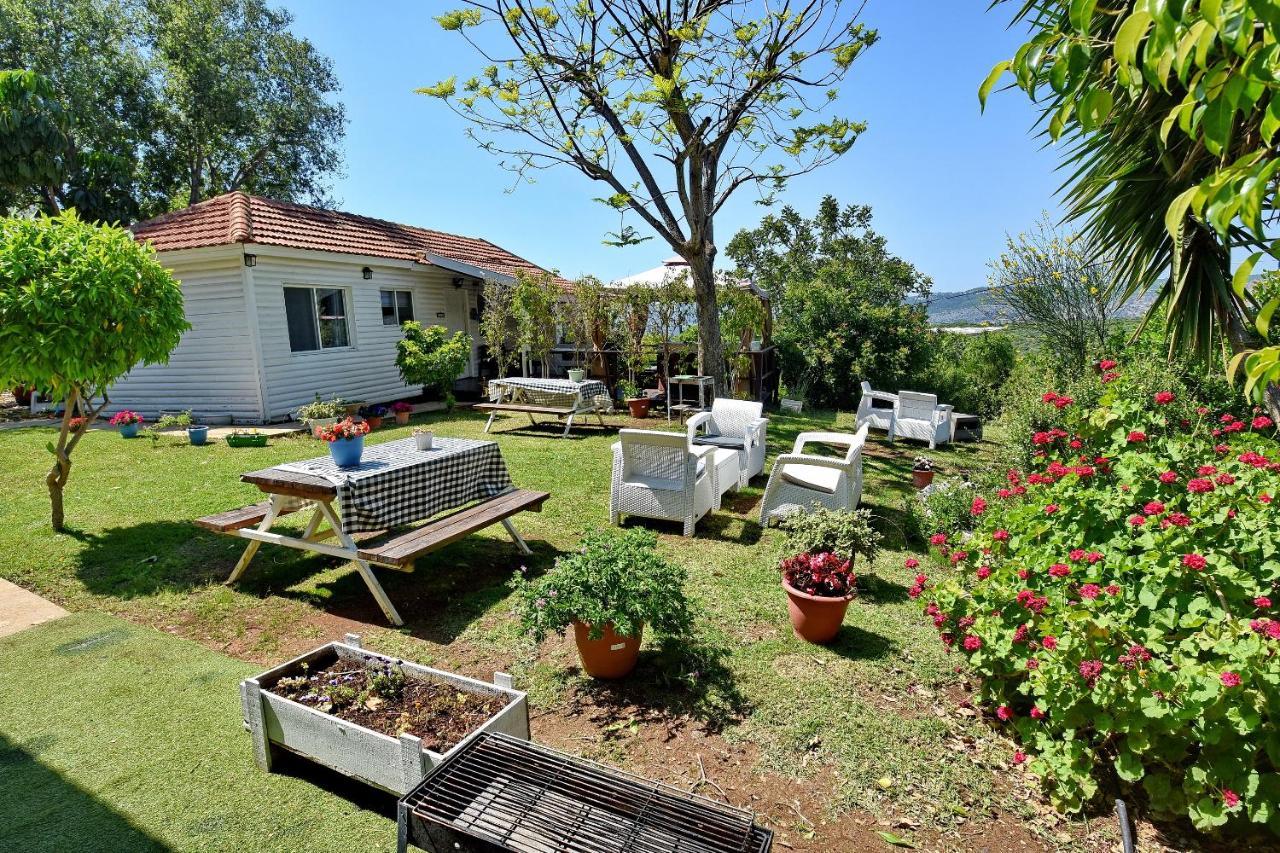 Biktot Nofim Villa Manot Exteriör bild
