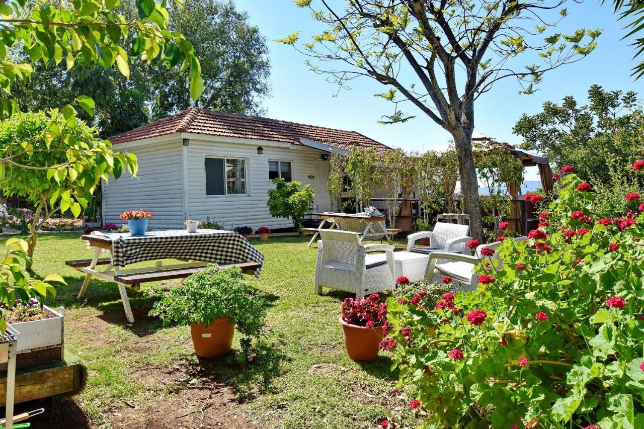 Biktot Nofim Villa Manot Exteriör bild